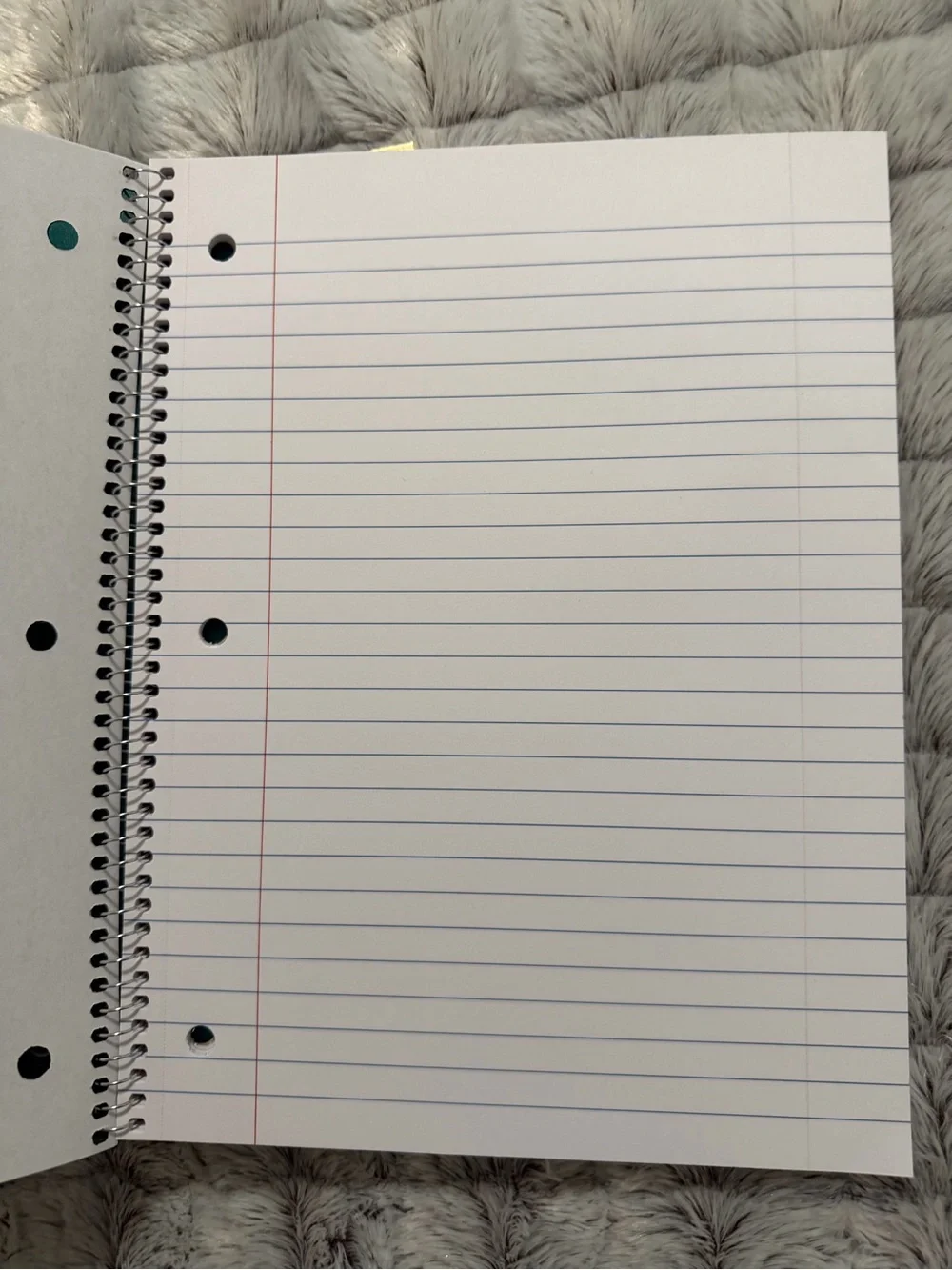 Wide Ruled Spiral Notebook - 5 pack